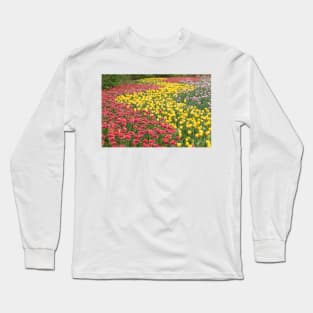 Rows of Tulips in Spring Long Sleeve T-Shirt